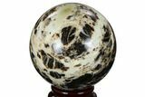 Black Opal Sphere - Madagascar #168567-1